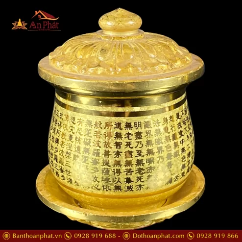 choe tho dong hc tam kinh vang dt258 5