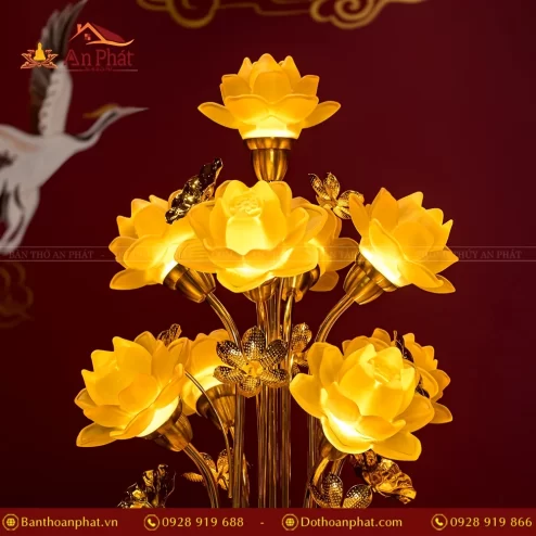 den tho dien luu ly hoa sen nhieu bong dtd1344 5