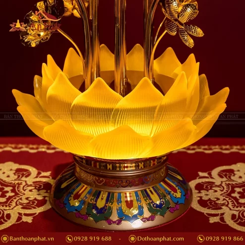 den tho dien luu ly hoa sen nhieu bong dtd1344 7