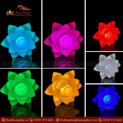 den tho dien hoa sen luu ly no than dong dtd1412 5