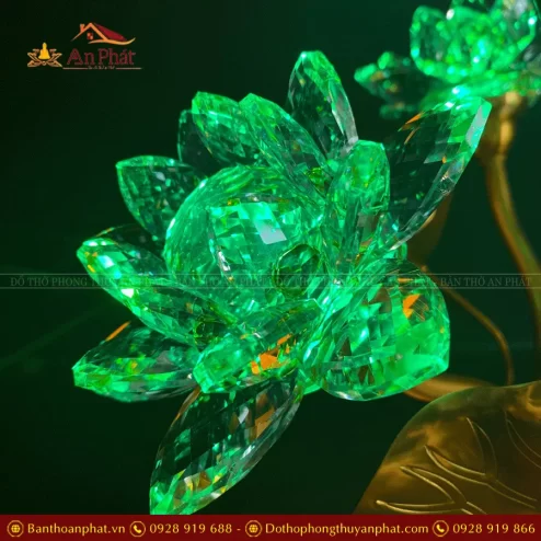 den tho dien hoa sen pha le nhieu bong dtd139 10