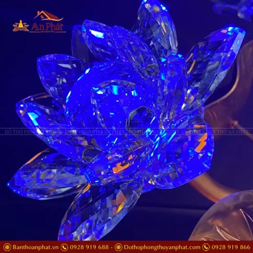 den tho dien hoa sen pha le nhieu bong dtd139 11