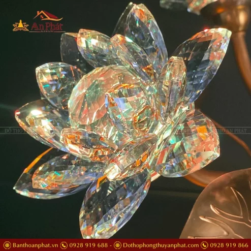 den tho dien hoa sen pha le nhieu bong dtd139 12