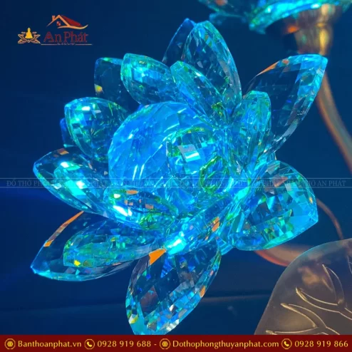 den tho dien hoa sen pha le nhieu bong dtd139 13