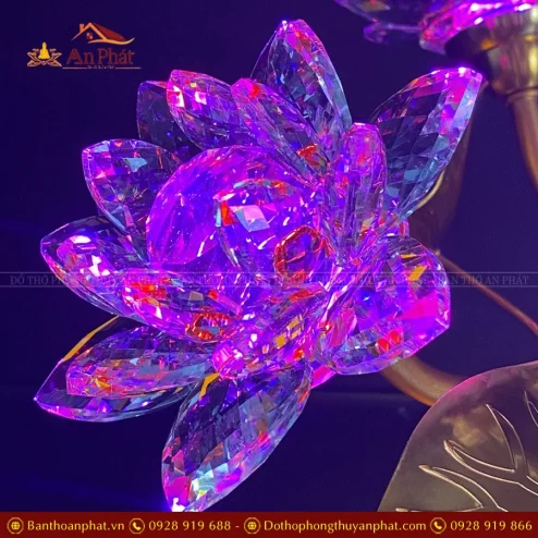 den tho dien hoa sen pha le nhieu bong dtd139 8