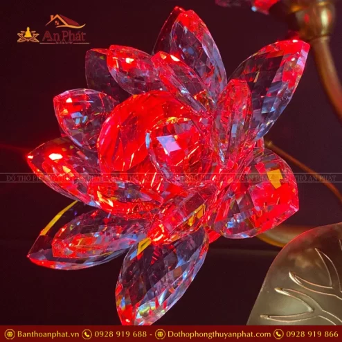 den tho dien hoa sen pha le nhieu bong dtd139 9