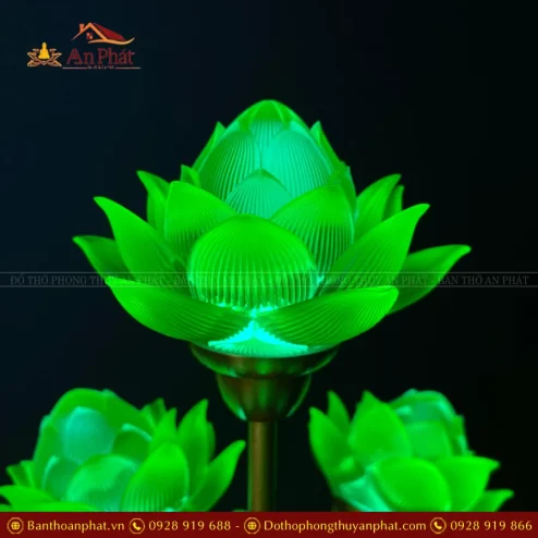 den tho dien hoa sen thinh the bong to dtd1397 10