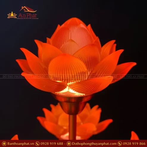 den tho dien hoa sen thinh the bong to dtd1397 11