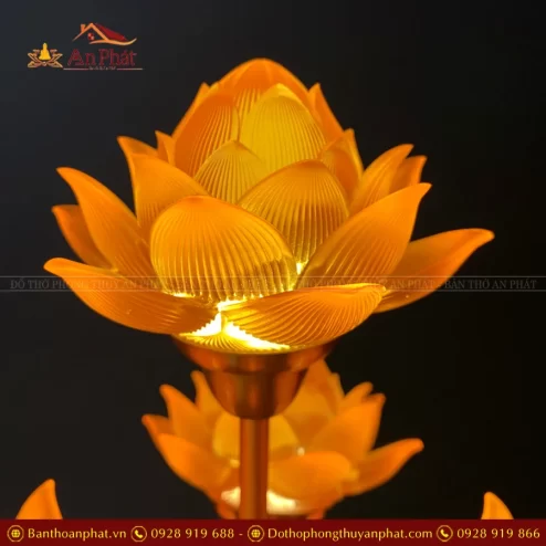 den tho dien hoa sen thinh the bong to dtd1397 9