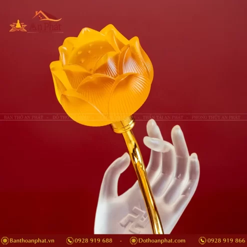 den tho dien luu ly ban tay phat dtd1371 11