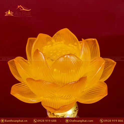 den tho dien luu ly hoa sen 1 bong dtd1368 6