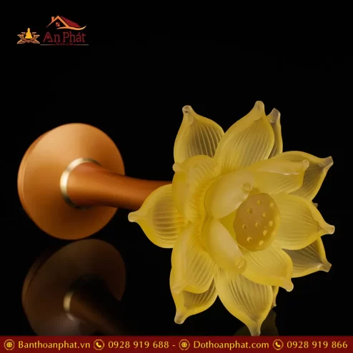 den tho hoa sen luu ly canh quan am chan dong dtd135000001
