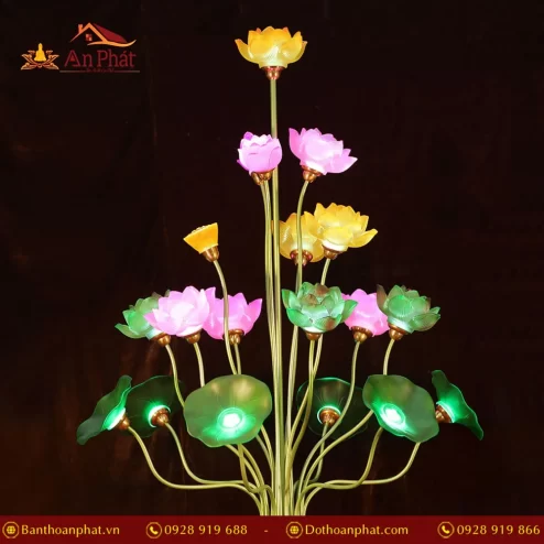 Bông và lá lưu ly tỏa ánh sáng hoàn hảo