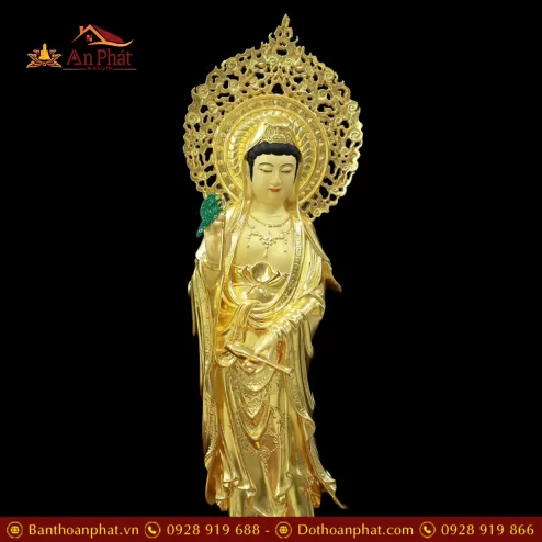 tuong quan am bang dong dat vang cao cap nhap khau dang dung t257400005