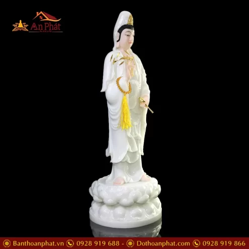 tuong quan am bo tat bot da cao cap dang dung t257200006